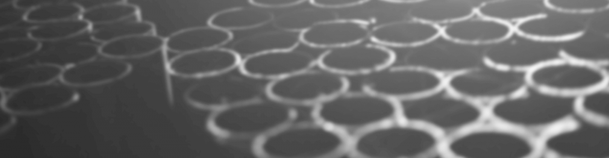 Thép Ống & Xà gồ